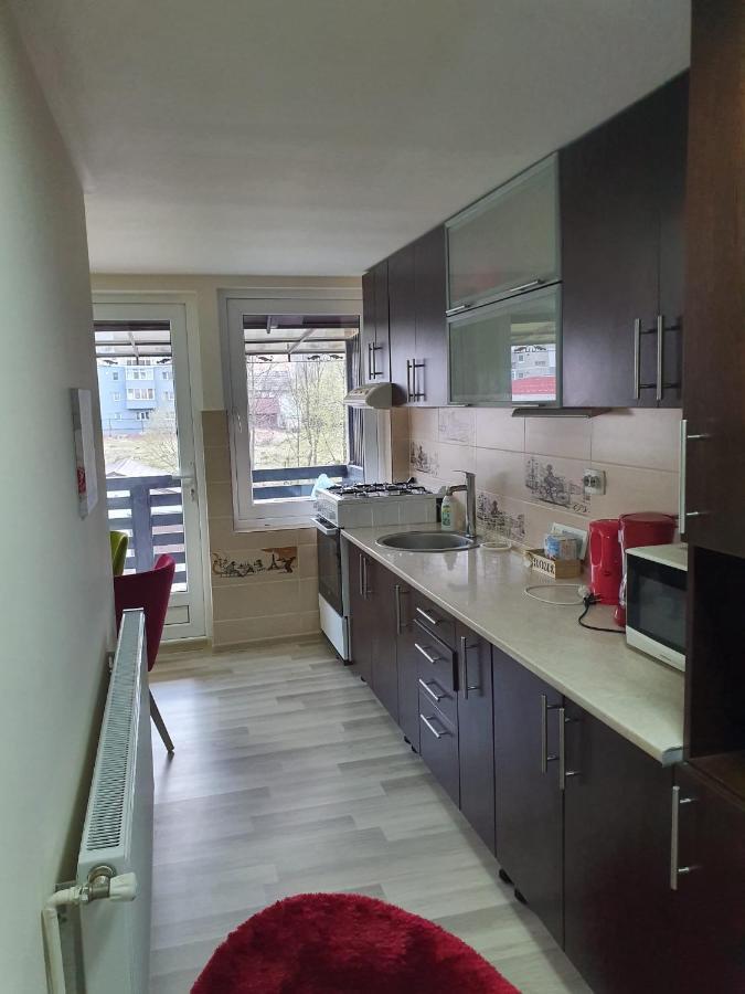 Villa Coca Câmpulung Moldovenesc Dış mekan fotoğraf