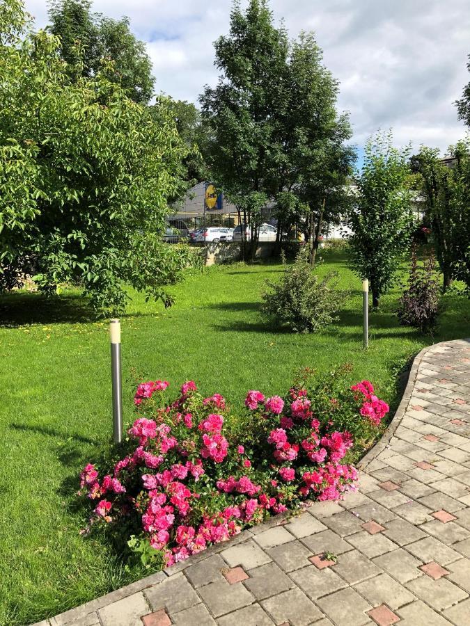 Villa Coca Câmpulung Moldovenesc Dış mekan fotoğraf