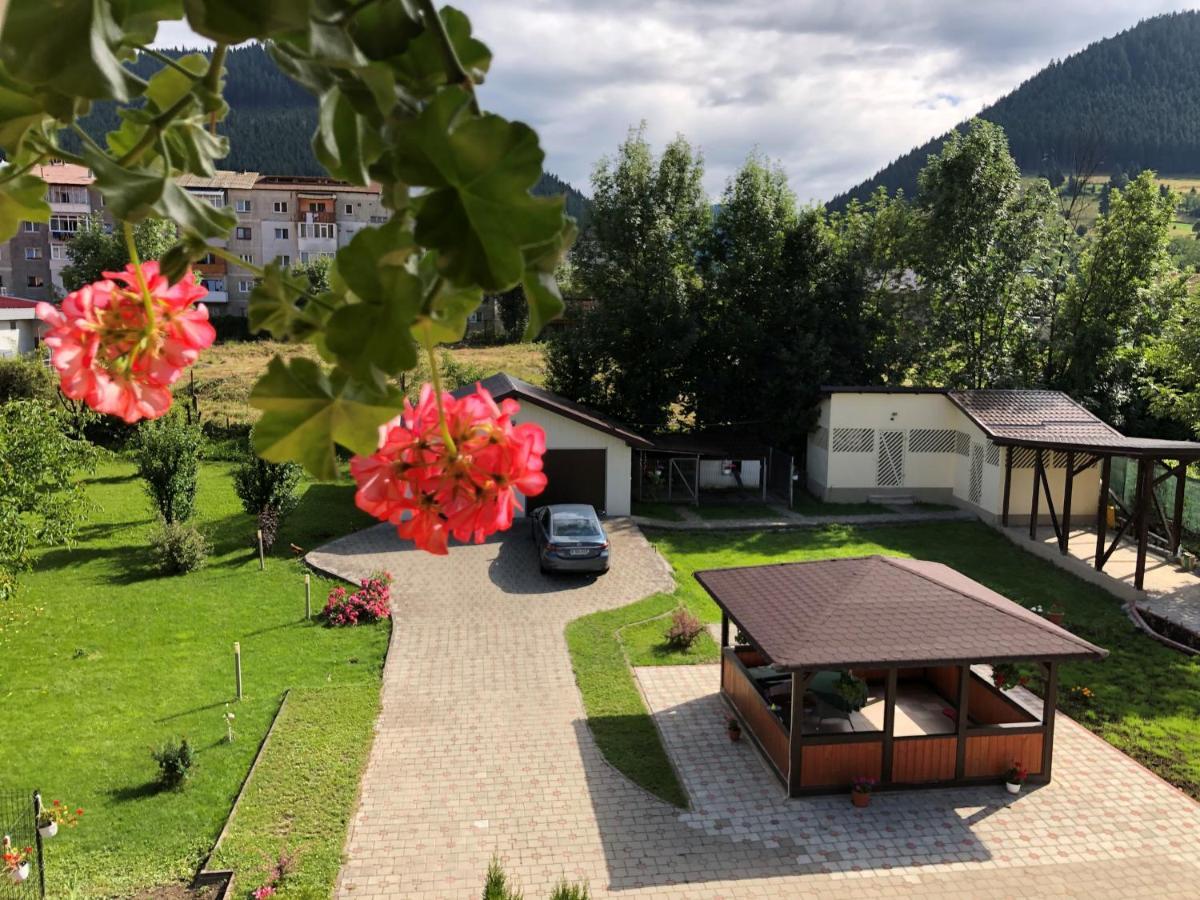 Villa Coca Câmpulung Moldovenesc Dış mekan fotoğraf