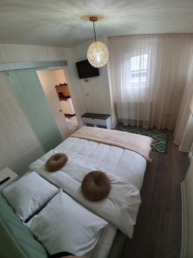 Villa Coca Câmpulung Moldovenesc Dış mekan fotoğraf