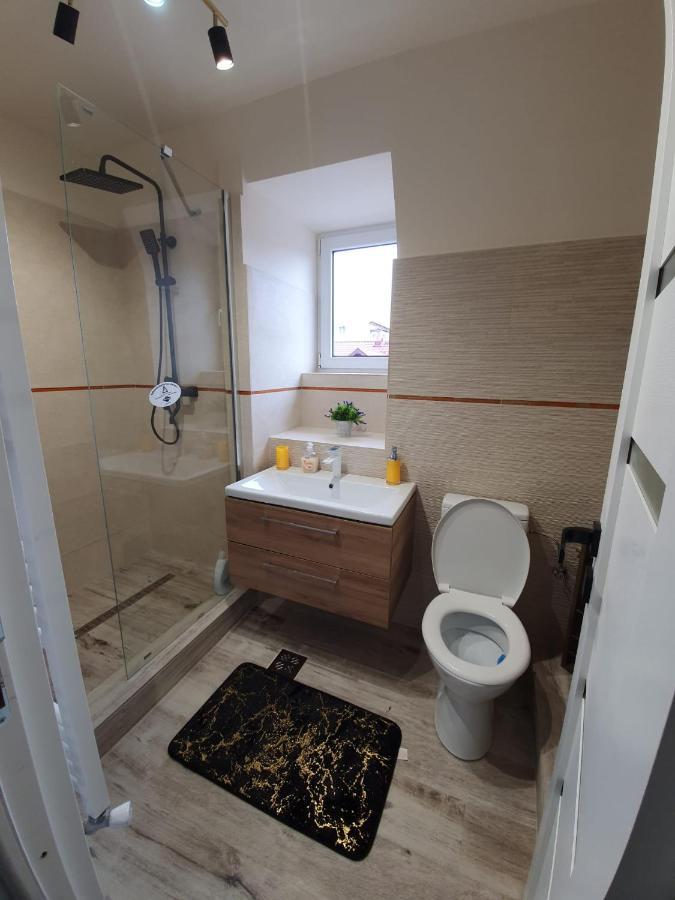 Villa Coca Câmpulung Moldovenesc Dış mekan fotoğraf